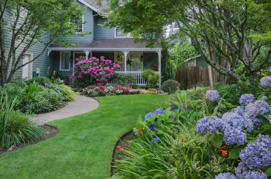 Outdooor Garden