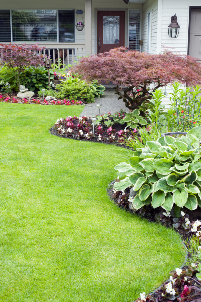 Outdooor Garden